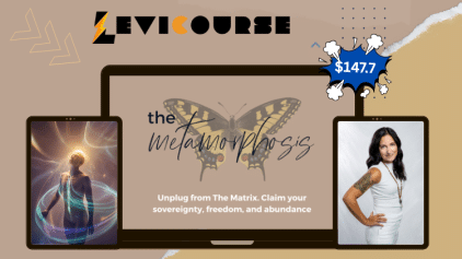 The Metamorphosis by Alyse Bacine online transformation course.