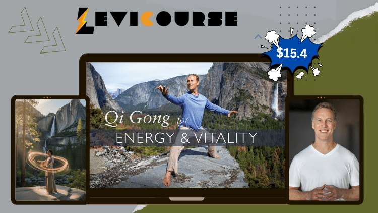 Qi Gong for Energy and Vitality by Lee Holden Qi Gong for Energy and Vitality by Lee Holden.