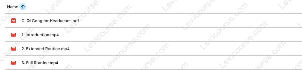 Qi Gong for Headaches by Lee Holden Download from Qi Gong for Headaches by Lee Holden.